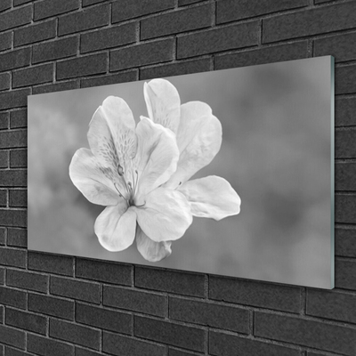 Plexiglas foto Bloemen planten