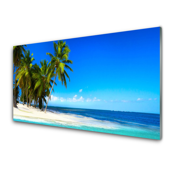 Plexiglas foto Palm tree sea landscape