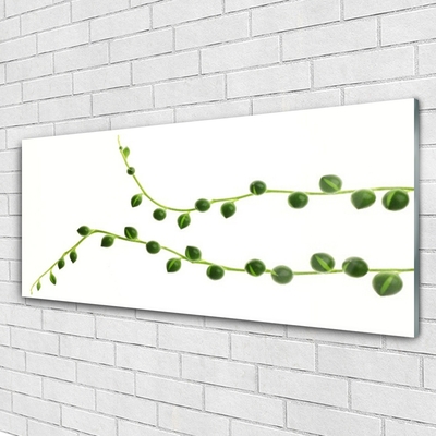 Plexiglas foto Decoratieve plant