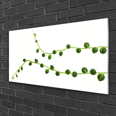 Plexiglas foto Decoratieve plant