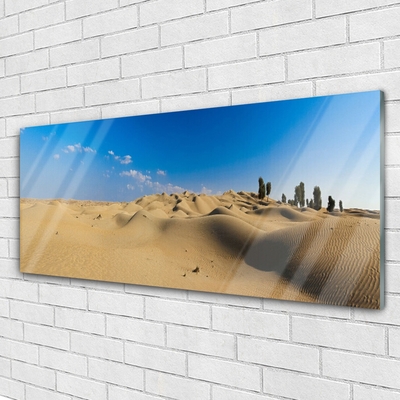 Plexiglas foto Landschap van de woestijn van het zand
