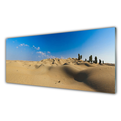 Plexiglas foto Landschap van de woestijn van het zand