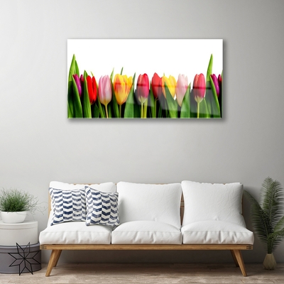 Plexiglas foto Planten tulpen