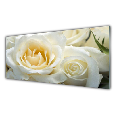 Plexiglas foto Rozen bloemen
