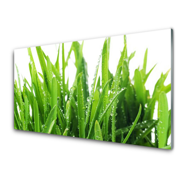 Plexiglas foto Grasinstallatie