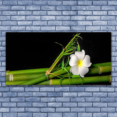 Plexiglas foto Bamboo flower plant