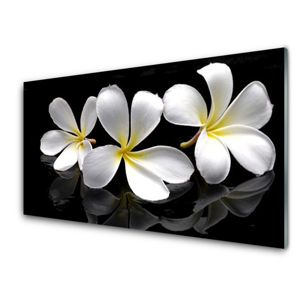 Plexiglas foto Bloemen planten