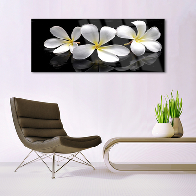 Plexiglas foto Bloemen planten