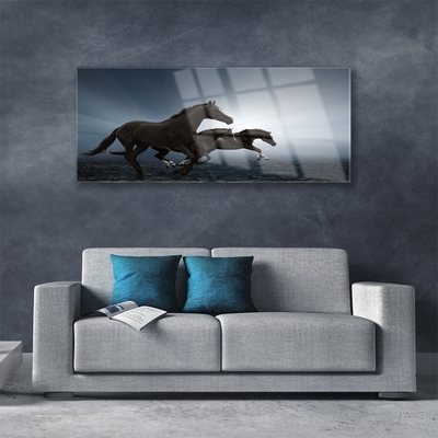 Plexiglas foto Paarden dieren