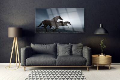 Plexiglas foto Paarden dieren