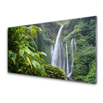 Plexiglas foto Waterval natuur