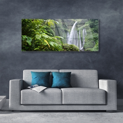 Plexiglas foto Waterval natuur