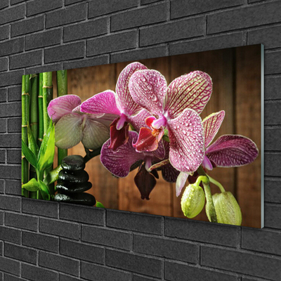 Plexiglas foto Bloemen installatie van het bamboe