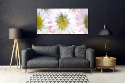 Plexiglas foto Daisy plant nature