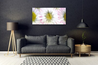 Plexiglas foto Daisy plant nature