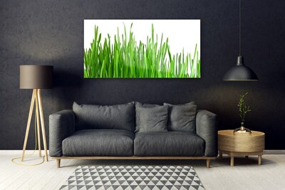 Plexiglas foto Grass nature plant