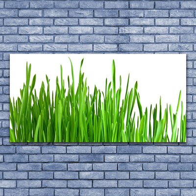 Plexiglas foto Grass nature plant