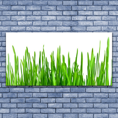 Plexiglas foto Grass nature plant