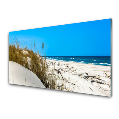 Plexiglas foto Strandlandschappen