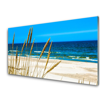 Plexiglas foto Ocean beach landscape