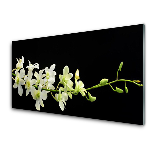 Plexiglas foto Bloemen plant nature