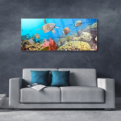 Plexiglas foto Barrier reef landschap