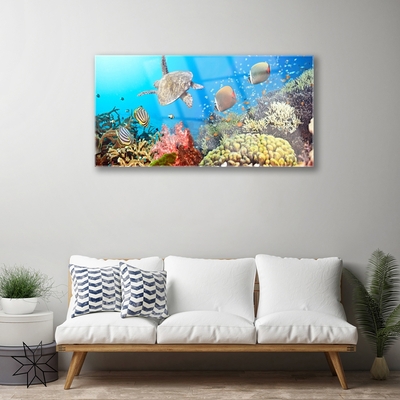 Plexiglas foto Barrier reef landschap