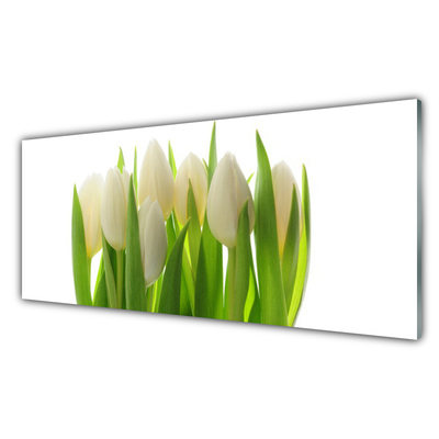 Plexiglas foto Plant tulpen natuur
