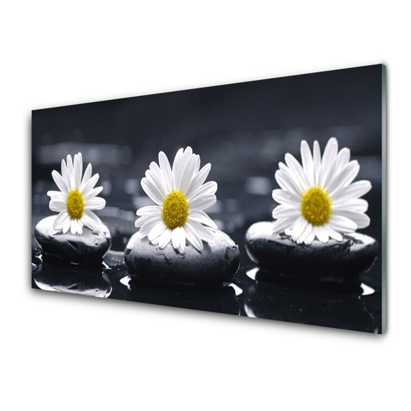 Plexiglas foto Daisy stones plant