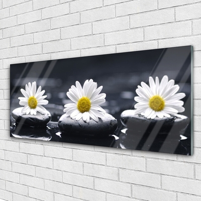 Plexiglas foto Daisy stones plant