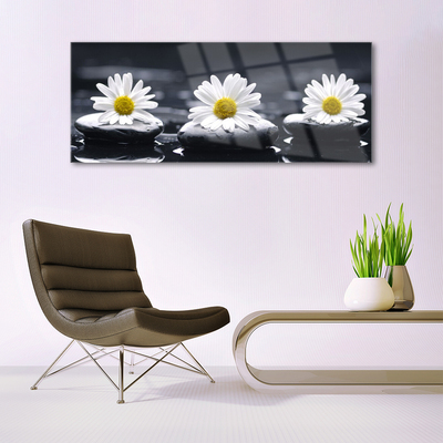 Plexiglas foto Daisy stones plant