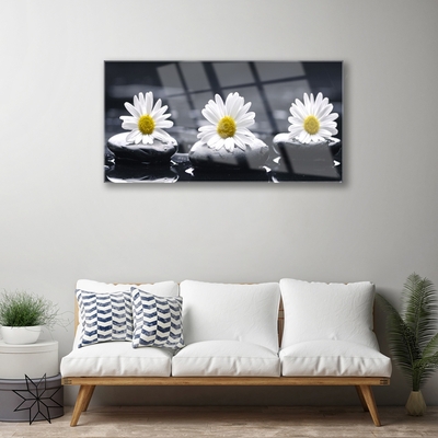 Plexiglas foto Daisy stones plant