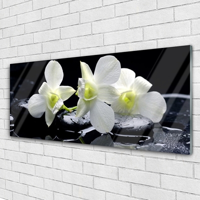 Plexiglas foto Witte orchidee bloem