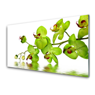 Plexiglas foto Bloemen plant nature