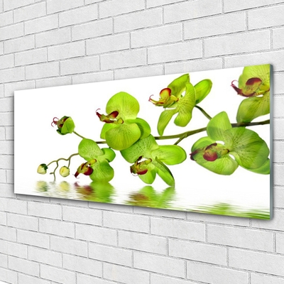 Plexiglas foto Bloemen plant nature