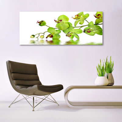 Plexiglas foto Bloemen plant nature