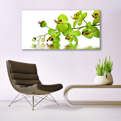 Plexiglas foto Bloemen plant nature