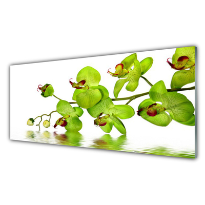 Plexiglas foto Bloemen plant nature