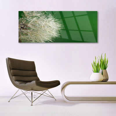 Plexiglas foto Paardebloem plant