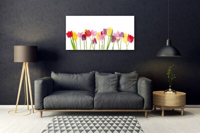 Plexiglas foto Tulpen bloemen plant