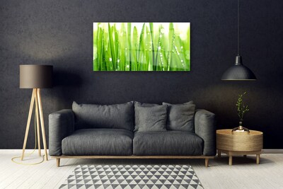 Plexiglas foto Grass nature plant