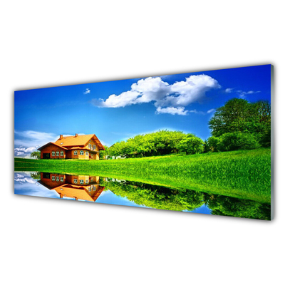 Plexiglas foto Grass lake nature house