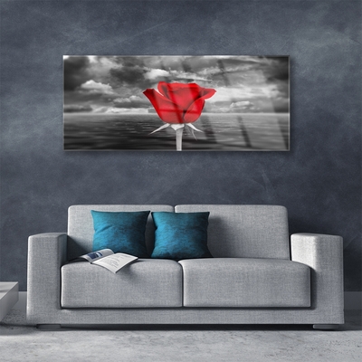 Plexiglas foto Rose flower plant zee