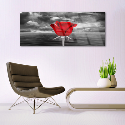 Plexiglas foto Rose flower plant zee