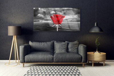Plexiglas foto Rose flower plant zee