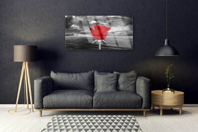 Plexiglas foto Rose flower plant zee