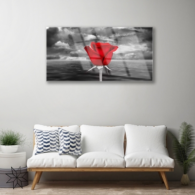 Plexiglas foto Rose flower plant zee