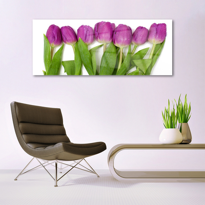 Plexiglas foto Tulpen bloemen plant