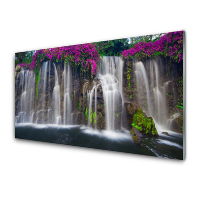 Plexiglas foto Waterval natuur