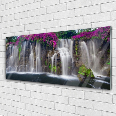 Plexiglas foto Waterval natuur